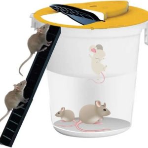 Zamka za miševe i pacove