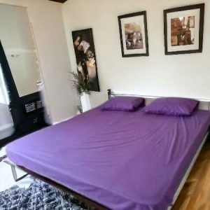 Čaršav Ranforce singl ležaj Ljubičasti